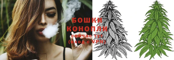 дурь Касимов