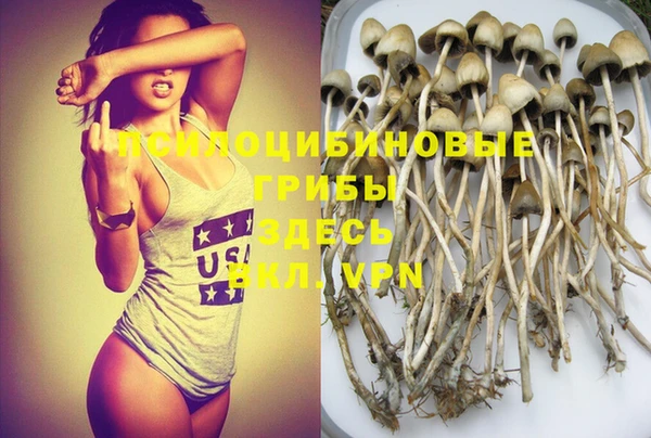 дурь Касимов