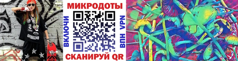 Купить  Губкинский  Псилоцибиновые грибы Psilocybine cubensis 